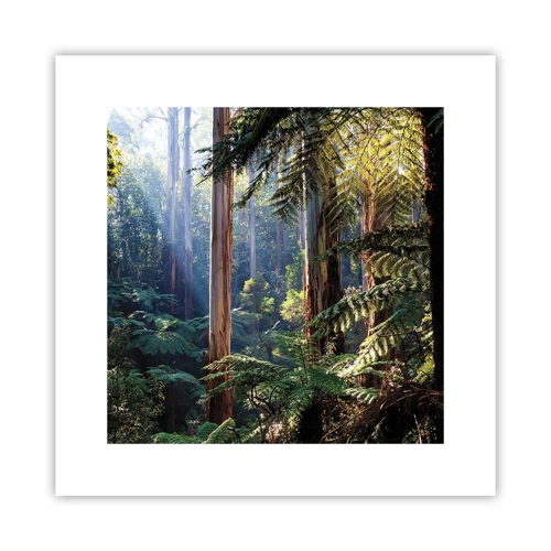 Plakat - En fortælling om skoven - 30x30 cm