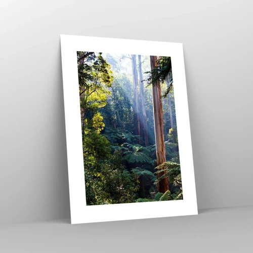 Plakat - En fortælling om skoven - 30x40 cm