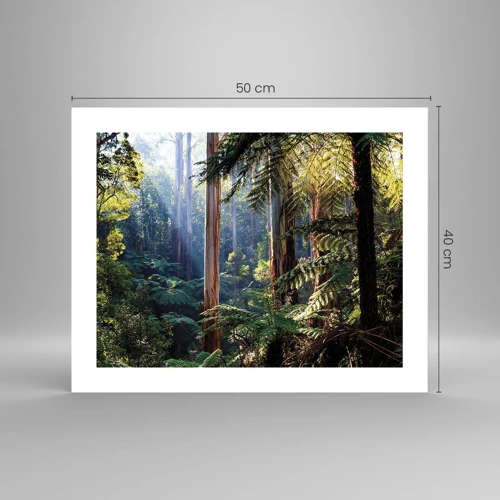 Plakat - En fortælling om skoven - 50x40 cm