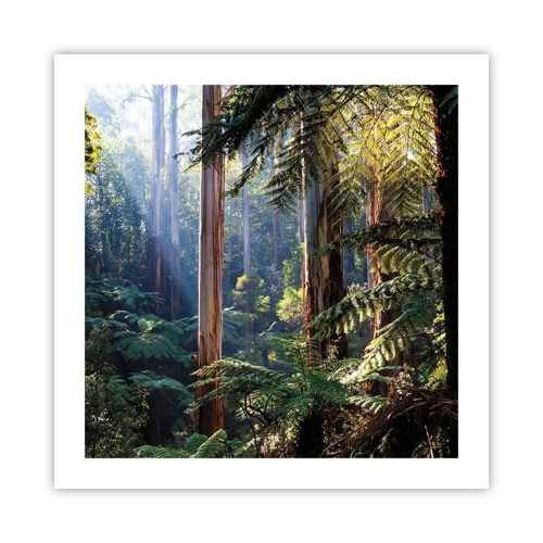 Plakat - En fortælling om skoven - 50x50 cm