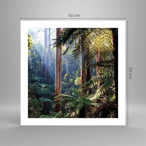 Plakat - En fortælling om skoven - 50x50 cm