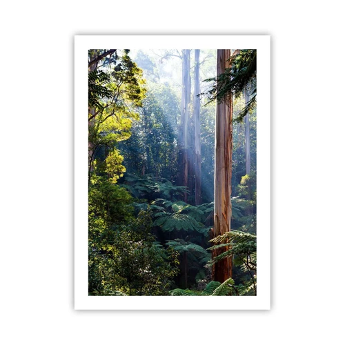 Plakat - En fortælling om skoven - 50x70 cm
