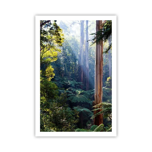 Plakat - En fortælling om skoven - 61x91 cm