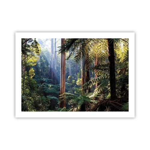 Plakat - En fortælling om skoven - 70x50 cm
