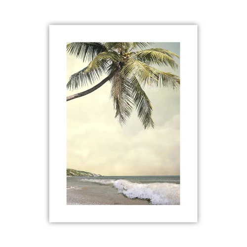 Plakat - En tropisk drøm - 30x40 cm