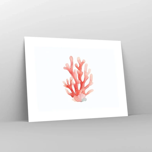 Plakat - Farven koral - 40x30 cm