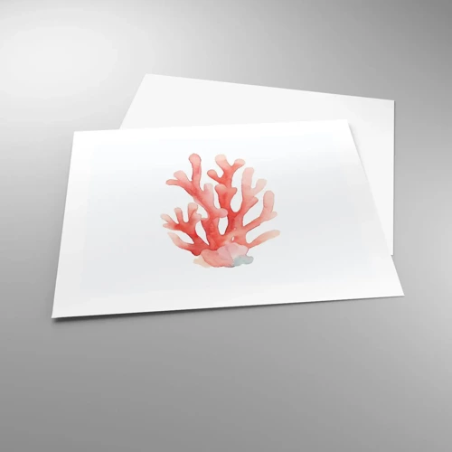 Plakat - Farven koral - 50x40 cm