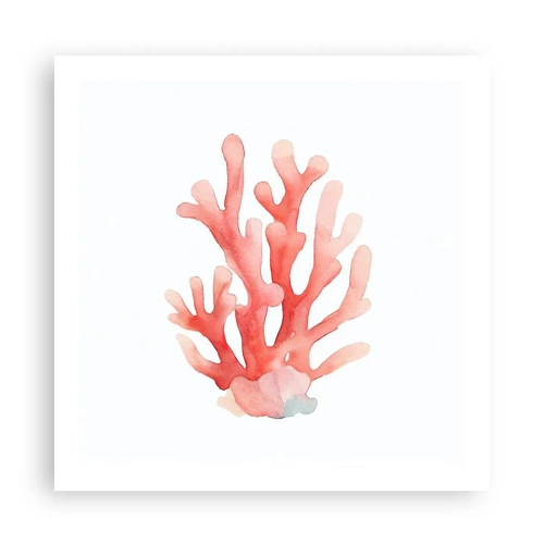 Plakat - Farven koral - 60x60 cm