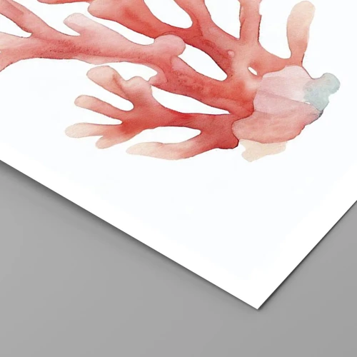 Plakat - Farven koral - 60x60 cm