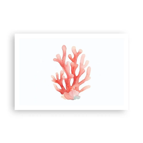 Plakat - Farven koral - 91x61 cm