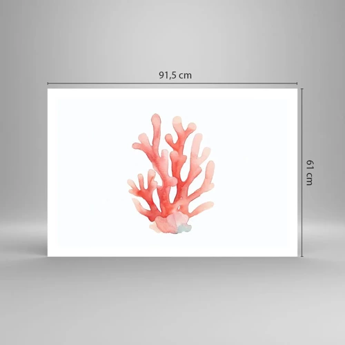 Plakat - Farven koral - 91x61 cm