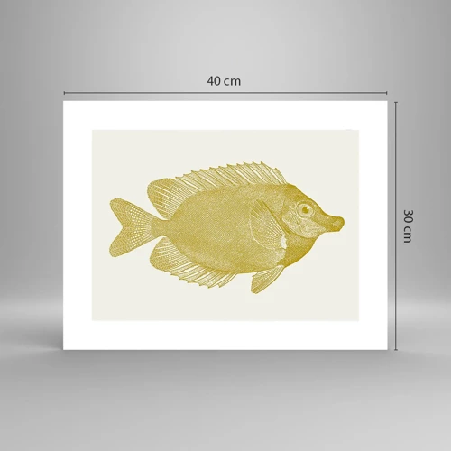 Plakat - Fisk og det er det - 40x30 cm