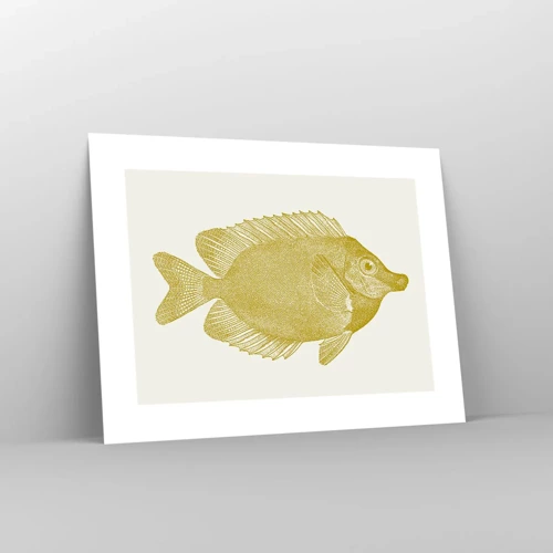 Plakat - Fisk og det er det - 40x30 cm