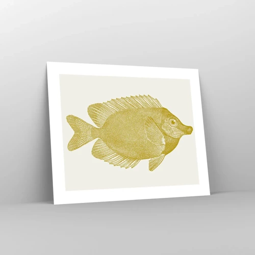 Plakat - Fisk og det er det - 50x40 cm