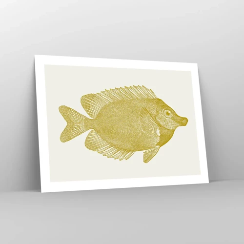Plakat - Fisk og det er det - 70x50 cm