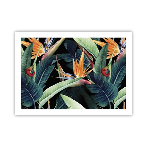 Plakat - Flammeblomster i troperne - 70x50 cm