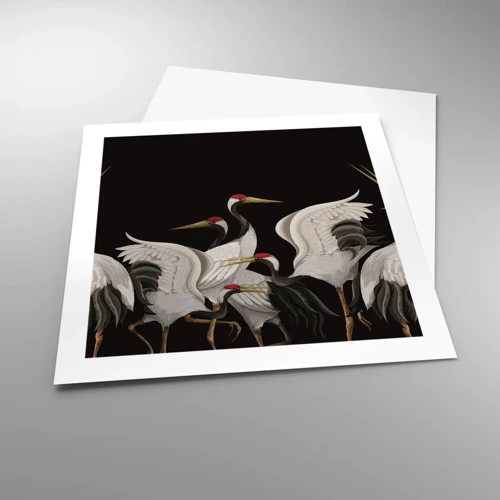 Plakat - Fugle anliggender - 50x50 cm