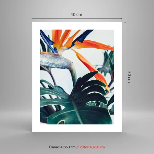 Plakat - Fuglebur - 40x50 cm