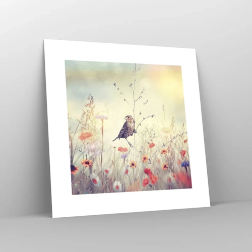 Plakat - Fugleportræt med en eng i baggrunden - 30x30 cm