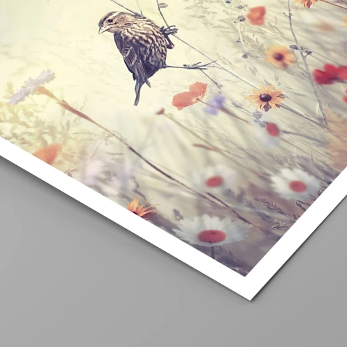 Plakat - Fugleportræt med en eng i baggrunden - 60x60 cm