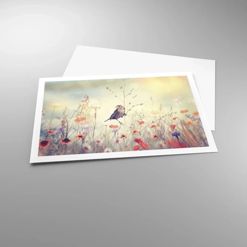 Plakat - Fugleportræt med en eng i baggrunden - 91x61 cm