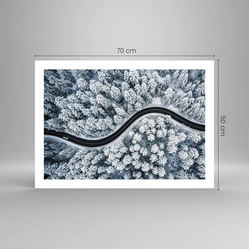 Plakat - Gennem en vinterskov - 70x50 cm