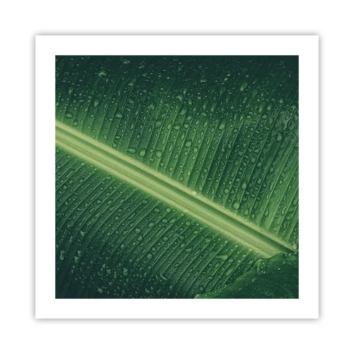 Plakat - Grøn struktur - 50x50 cm