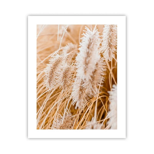 Plakat - Gyldent susen af græsser - 40x50 cm