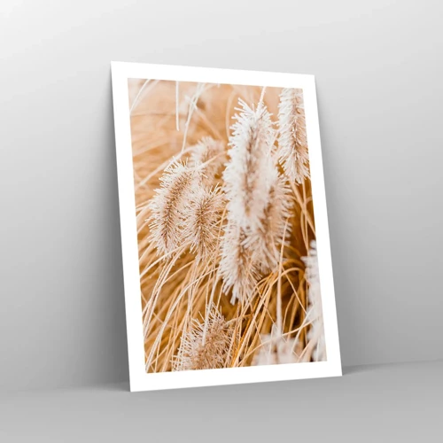 Plakat - Gyldent susen af græsser - 50x70 cm