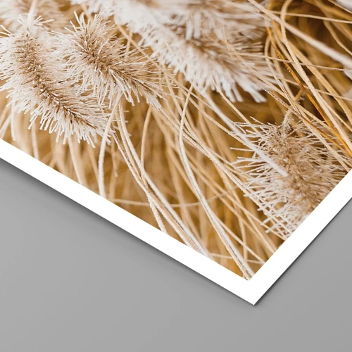 Plakat - Gyldent susen af græsser - 50x70 cm