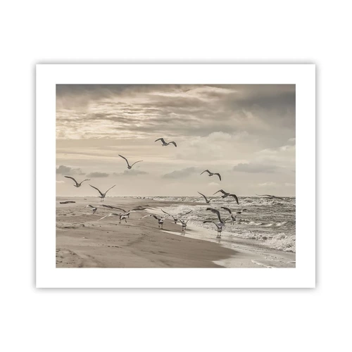Plakat - Havet brummer, fuglene synger - 50x40 cm