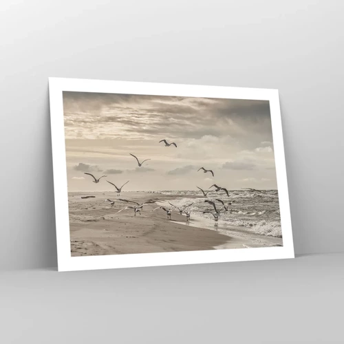 Plakat - Havet brummer, fuglene synger - 70x50 cm