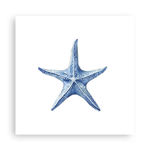Plakat - Havets stjerne - 30x30 cm