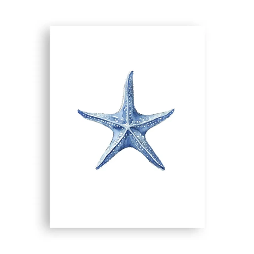 Plakat - Havets stjerne - 30x40 cm