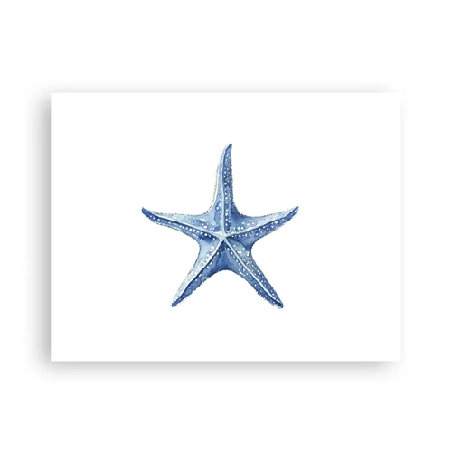 Plakat - Havets stjerne - 40x30 cm