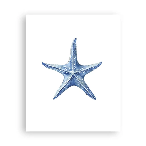 Plakat - Havets stjerne - 40x50 cm