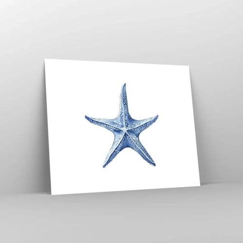 Plakat - Havets stjerne - 50x40 cm