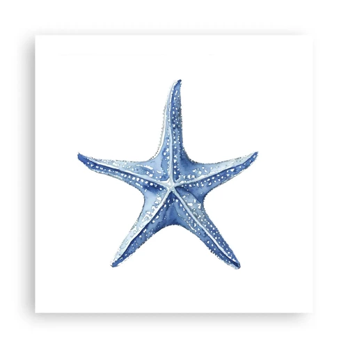Plakat - Havets stjerne - 50x50 cm