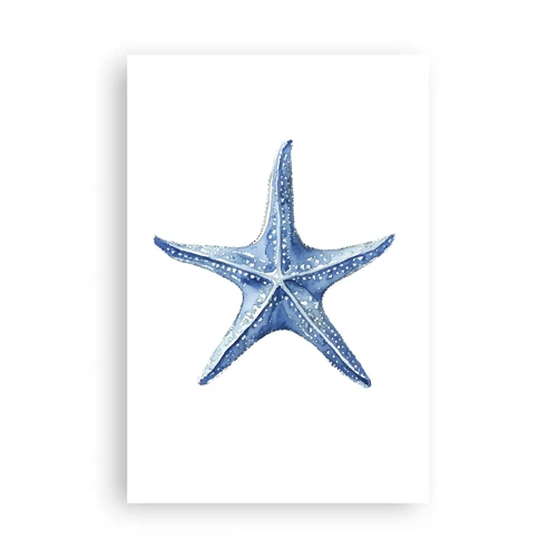 Plakat - Havets stjerne - 61x91 cm