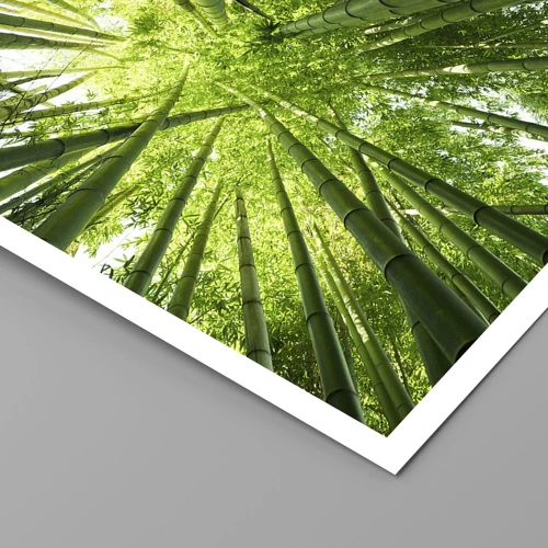 Plakat - I en bambuslund - 30x30 cm