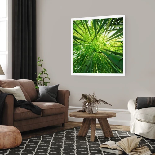 Plakat - I en bambuslund - 40x40 cm