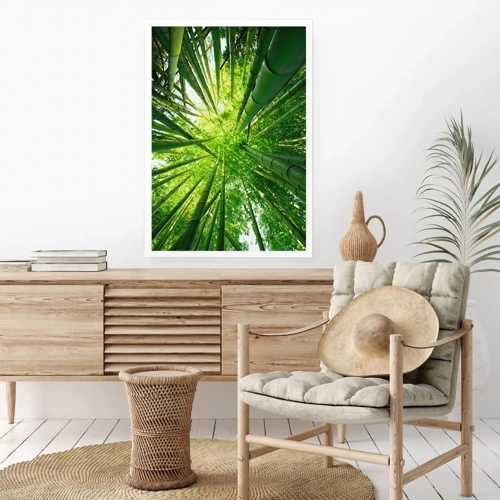 Plakat - I en bambuslund - 70x100 cm