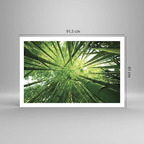 Plakat - I en bambuslund - 91x61 cm