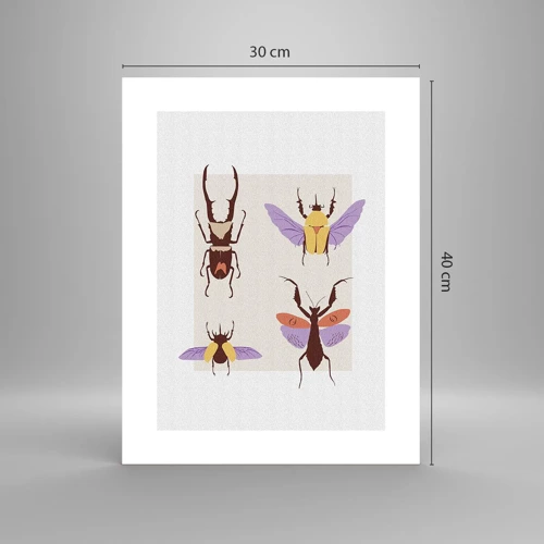 Plakat - Insekternes verden - 30x40 cm