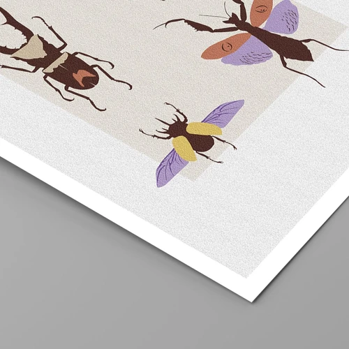 Plakat - Insekternes verden - 30x40 cm