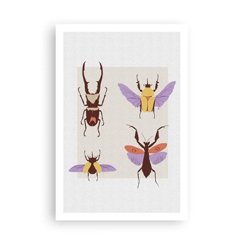Plakat - Insekternes verden - 61x91 cm