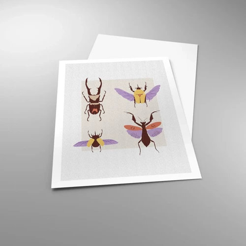 Plakat - Insekternes verden - 61x91 cm