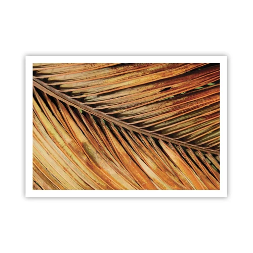 Plakat - Kokosnød guld - 100x70 cm