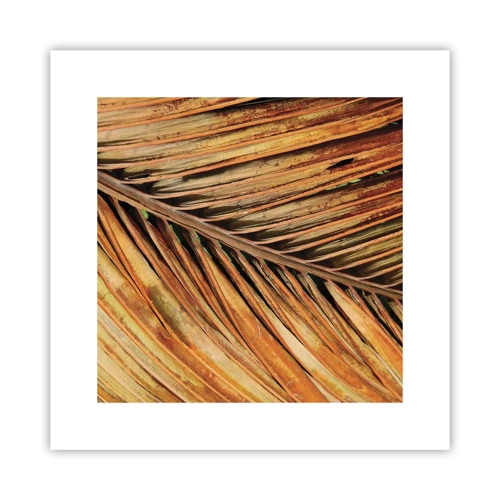 Plakat - Kokosnød guld - 30x30 cm