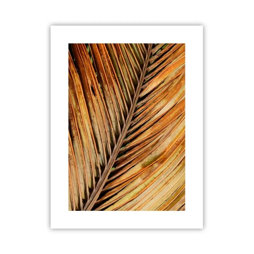 Plakat - Kokosnød guld - 30x40 cm